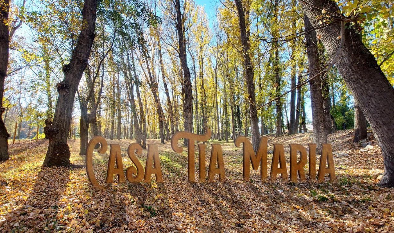 Casa Tia Maria Villa Navaluenga Kültér fotó